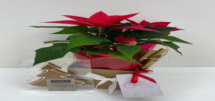 Don’t Panic: How to Order Last-Minute Christmas Flowers Without the Stress