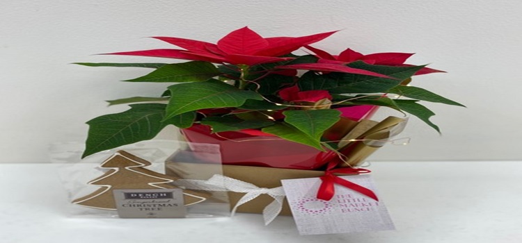 Don’t Panic: How to Order Last-Minute Christmas Flowers Without the Stress