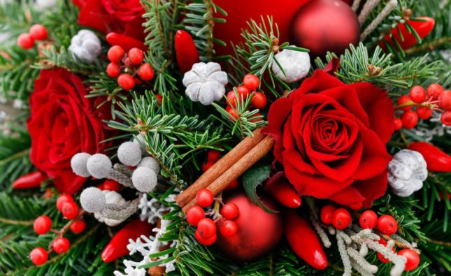 How to Choose the Perfect Christmas Flowers for Gifting and Home Decor