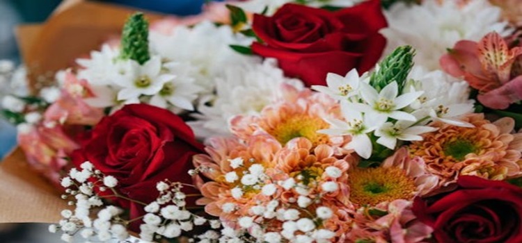 Gift Ideas: Why Christmas Flowers Make the Perfect Present for Everyone