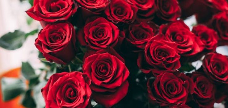 Be Prepared for Love: Order Your Valentine’s Flowers Before the Big Day