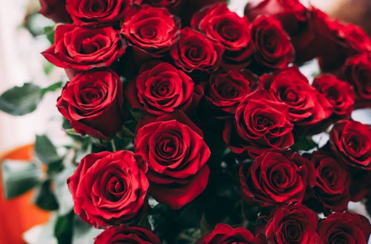 Be Prepared for Love: Order Your Valentine’s Flowers Before the Big Day