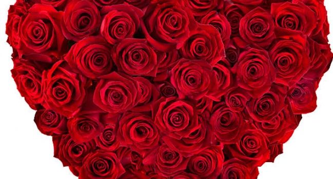 Are You Ready for Valentine’s Day 2025? Why Should You Pre-Order Flowers Now?