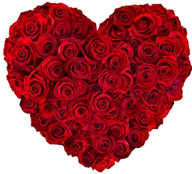 Are You Ready for Valentine’s Day 2025? Why Should You Pre-Order Flowers Now?