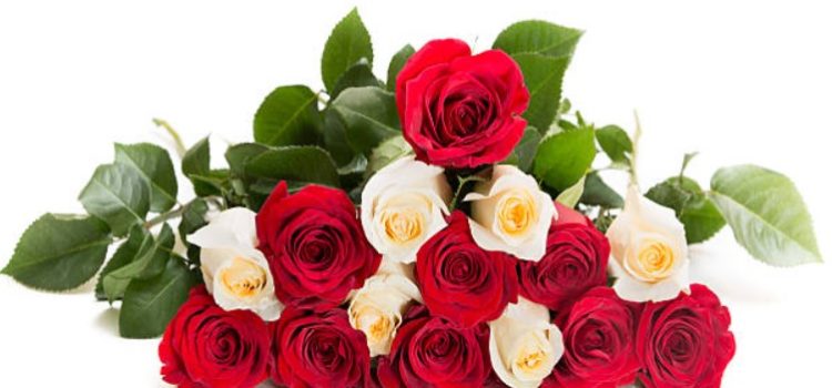 Why Flowers Are the Ultimate Valentine’s Day Gift: A Timeless Expression of Love