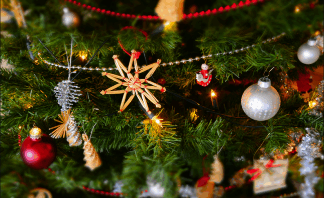 Christmas Flower Flower Delivery Pascoe Vale