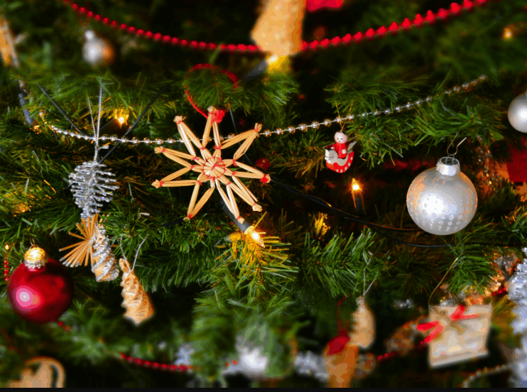 Christmas Flower Flower Delivery Pascoe Vale