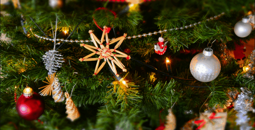 How to Choose the Best Christmas Flowers in Pascoe Vale for Every Home