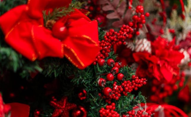 Christmas Flowers That Instantly Brighten Your Home for the Festive Season