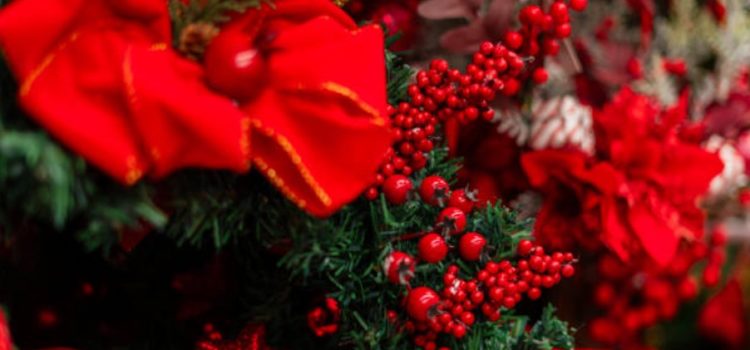 Christmas Flowers That Instantly Brighten Your Home for the Festive Season