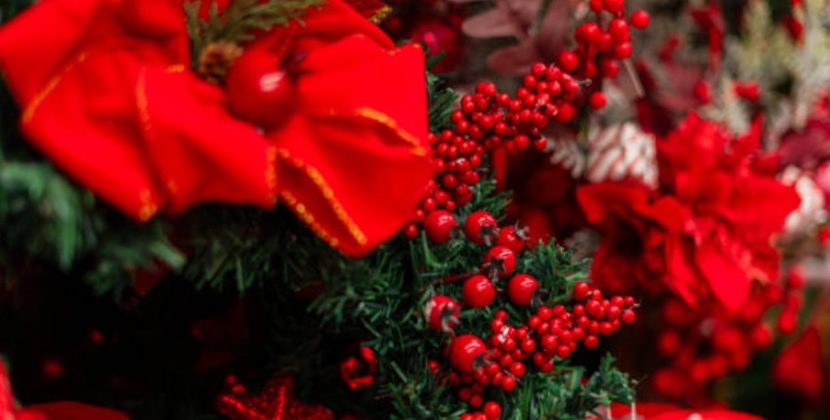Christmas Flowers That Instantly Brighten Your Home for the Festive Season