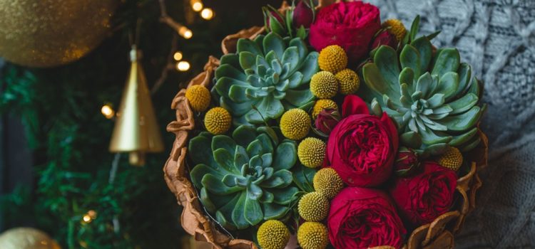 Celebrate the Season in Style: Christmas Flowers That Brighten Melbourne Homes