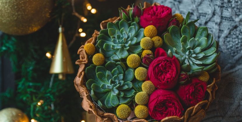 Celebrate the Season in Style: Christmas Flowers That Brighten Melbourne Homes
