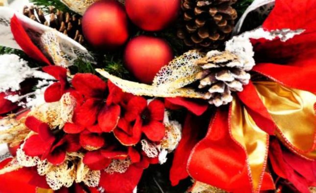 The Meaning Behind Popular Christmas Flowers and Their Festive Symbolism