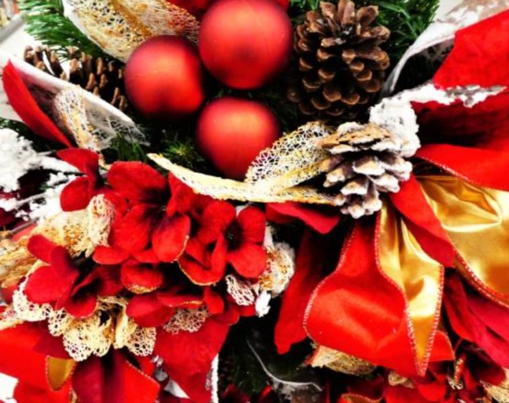 The Meaning Behind Popular Christmas Flowers and Their Festive Symbolism