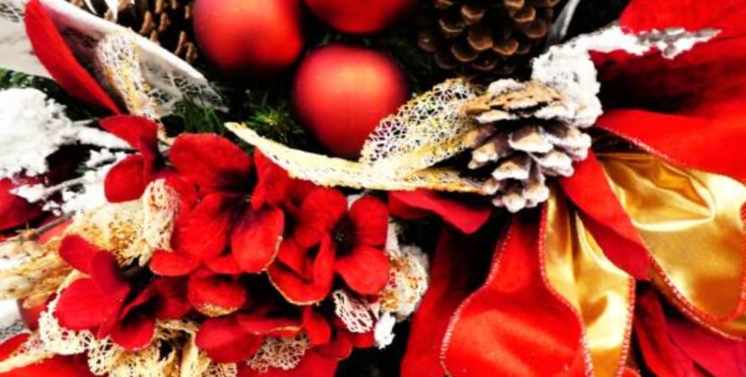 The Meaning Behind Popular Christmas Flowers and Their Festive Symbolism