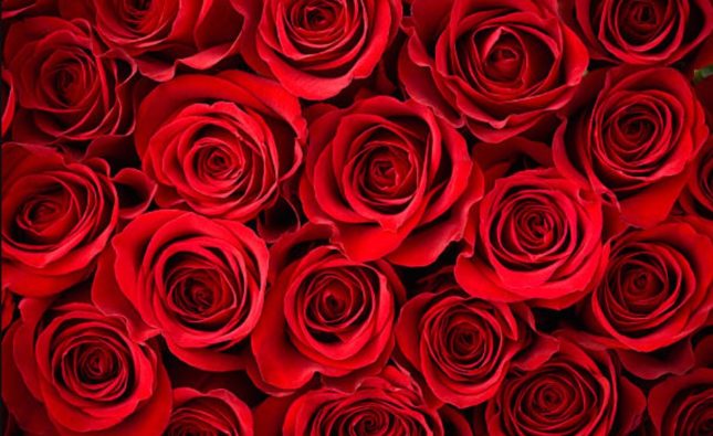 Creative Ways to Surprise Your Partner with Valentine’s Day Flowers