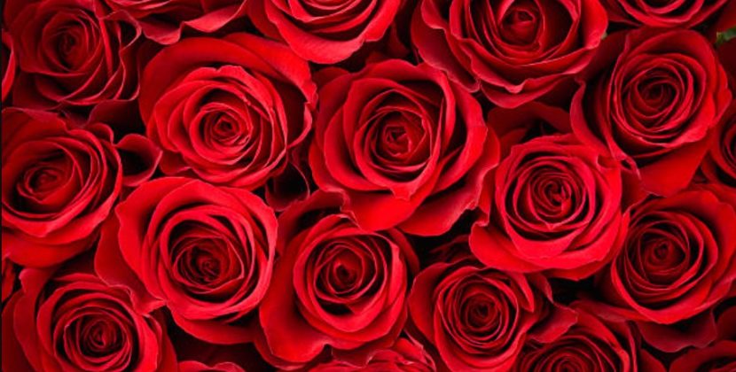 Creative Ways to Surprise Your Partner with Valentine’s Day Flowers