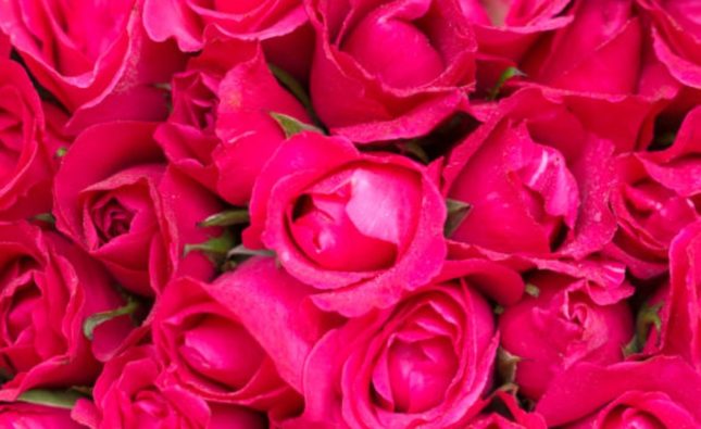 Why Fresh Flowers Are the Most Meaningful Valentine’s Day Gift