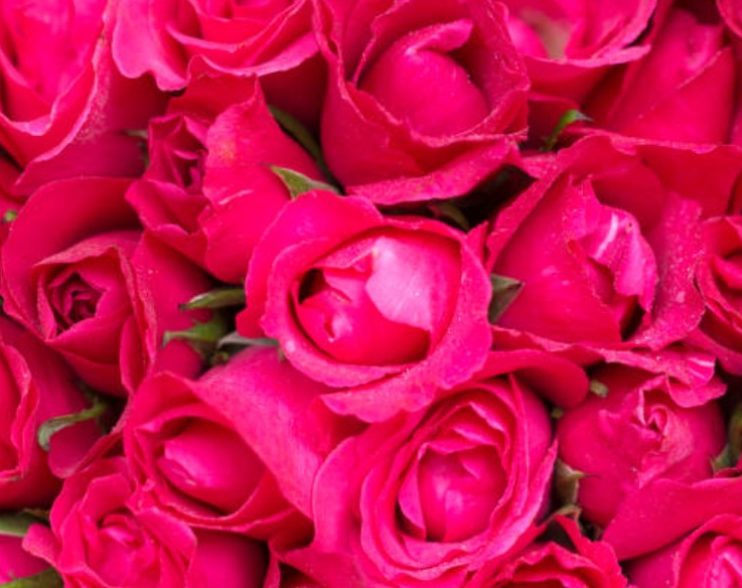 Why Fresh Flowers Are the Most Meaningful Valentine’s Day Gift