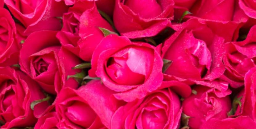 Why Fresh Flowers Are the Most Meaningful Valentine’s Day Gift