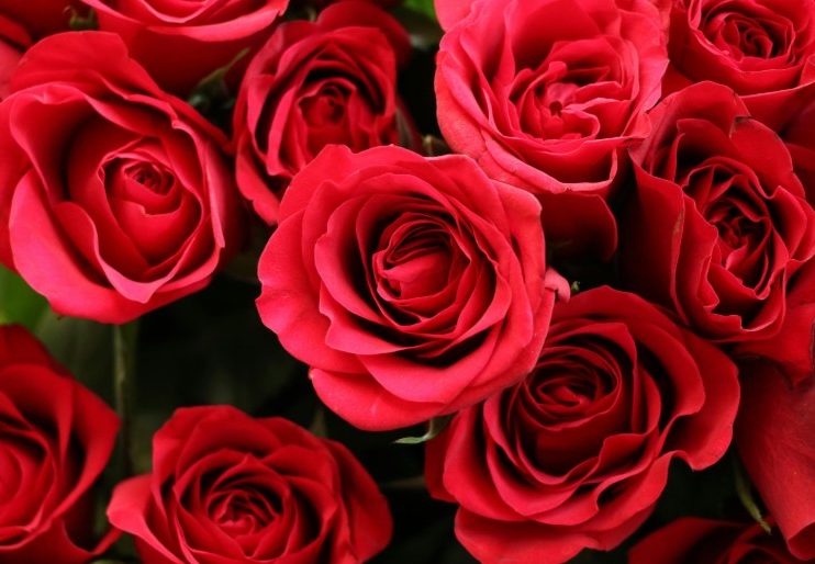 Last-Minute Valentine’s Day Flower Ideas That Still Feel Thoughtful