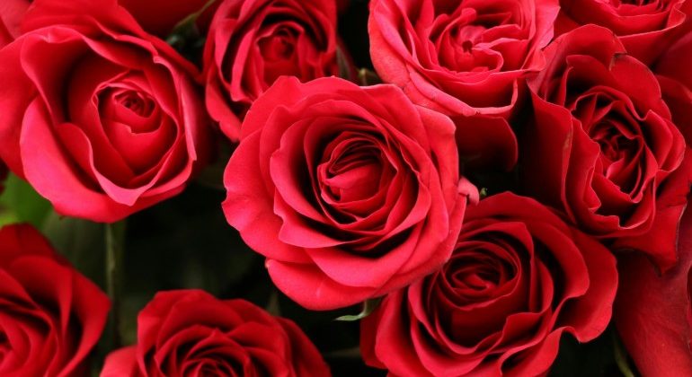 Last-Minute Valentine’s Day Flower Ideas That Still Feel Thoughtful