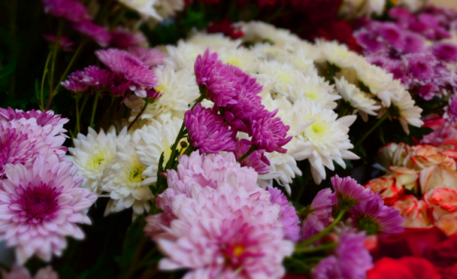 Why Flower Delivery Is the Ultimate Last-Minute Gift Solution