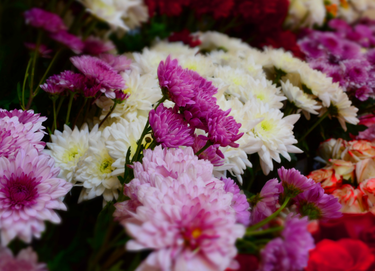 Why Flower Delivery Is the Ultimate Last-Minute Gift Solution