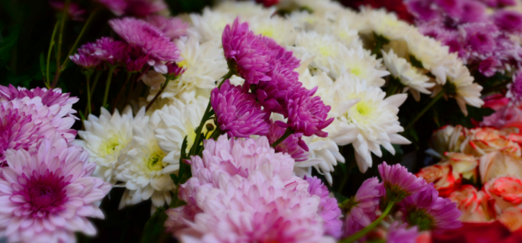 Why Flower Delivery Is the Ultimate Last-Minute Gift Solution