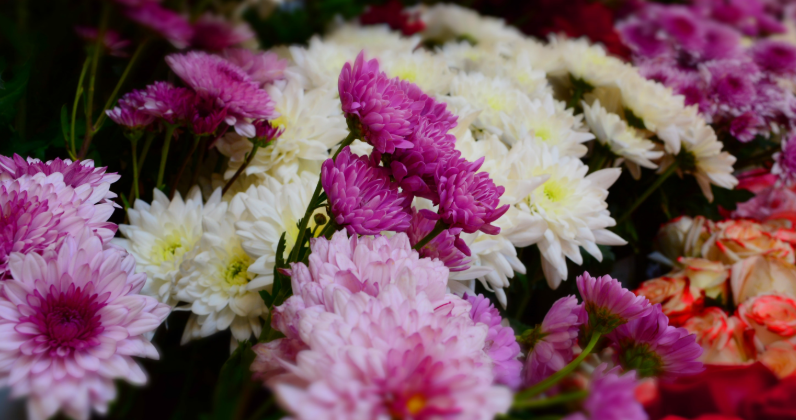 Why Flower Delivery Is the Ultimate Last-Minute Gift Solution