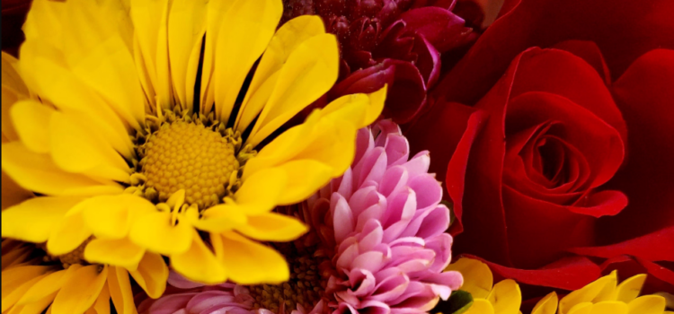 The Role of a Florist in Creating Memorable Event Decorations