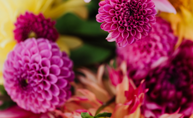 What to Look for When Choosing a Reliable Flower Delivery Service