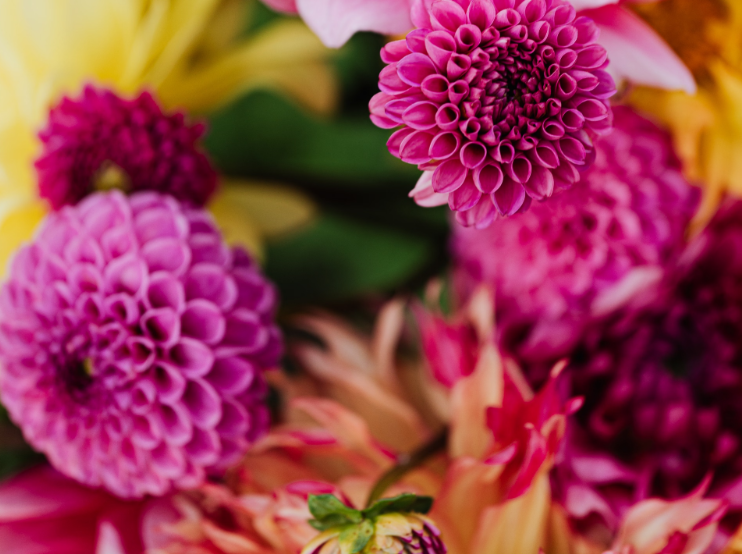 What to Look for When Choosing a Reliable Flower Delivery Service