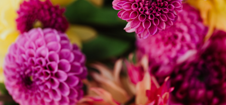 What to Look for When Choosing a Reliable Flower Delivery Service