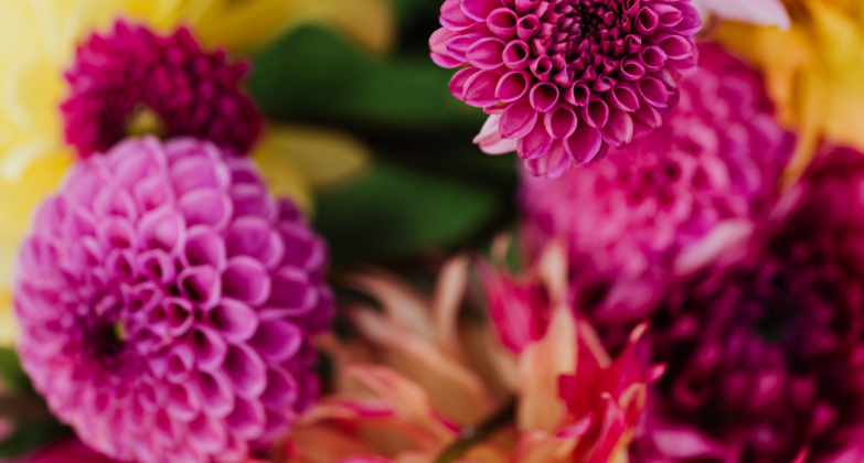 What to Look for When Choosing a Reliable Flower Delivery Service