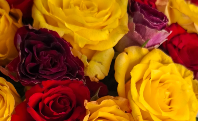 How Flower Delivery Can Make Long-Distance Relationships More Meaningful