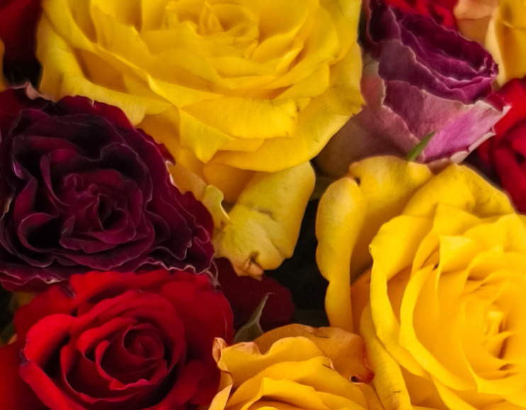 How Flower Delivery Can Make Long-Distance Relationships More Meaningful