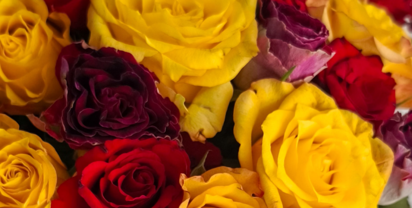 How Flower Delivery Can Make Long-Distance Relationships More Meaningful