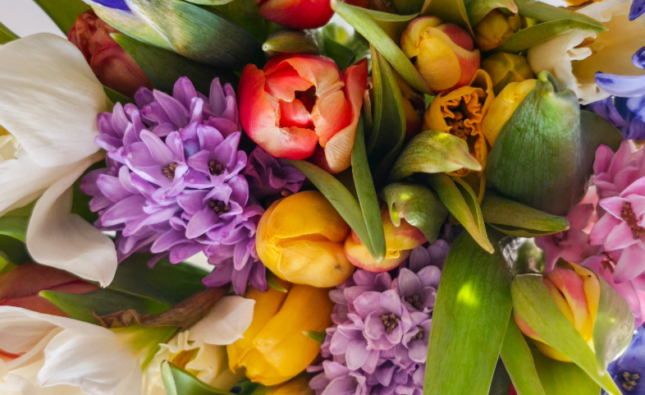 What to Consider When Ordering Flowers Online for a Special Occasion